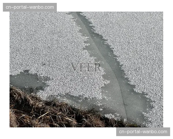 比赛因冰面出现裂缝意外中断一小时，场馆紧急进行修补